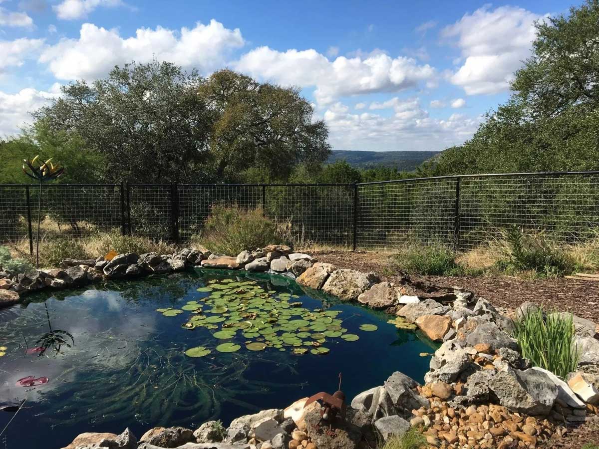 A fence surrounding a small pound with lily pads