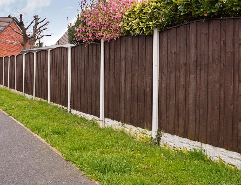 Privacy Fence