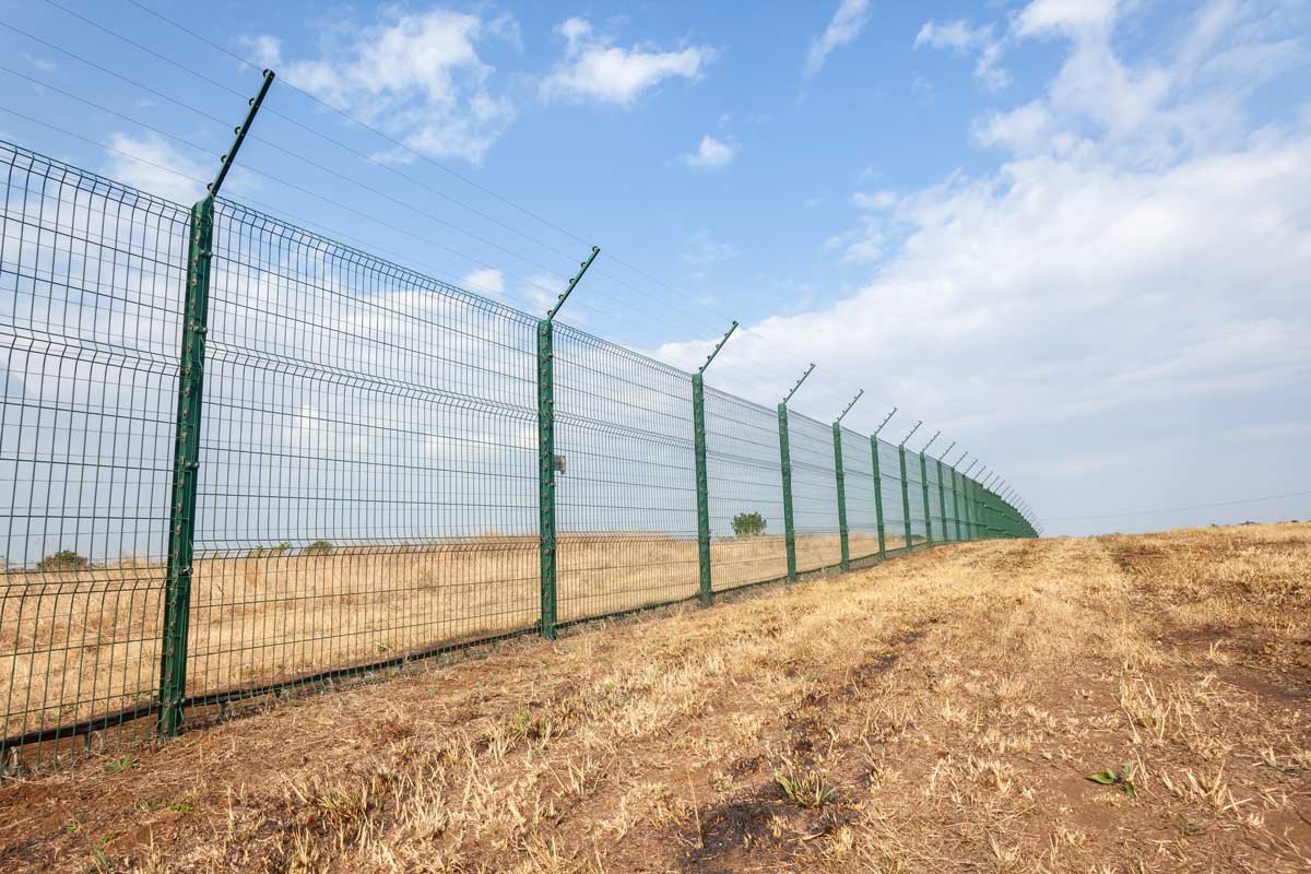 A wire security fence in a yellow field