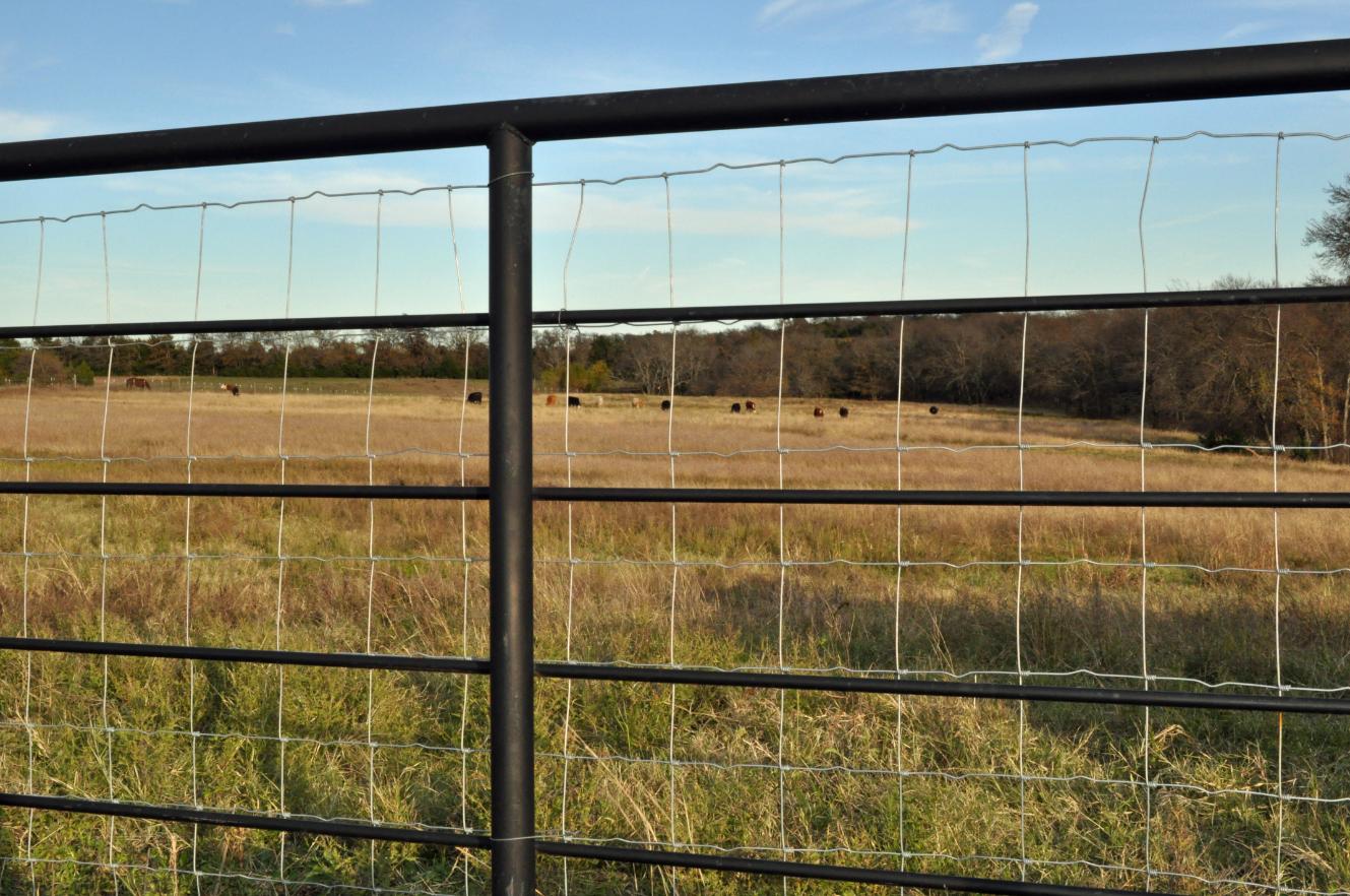 Wire Fence