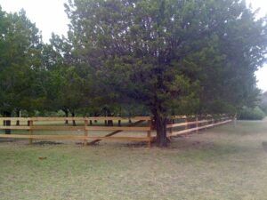 Wood Split Rail Fence